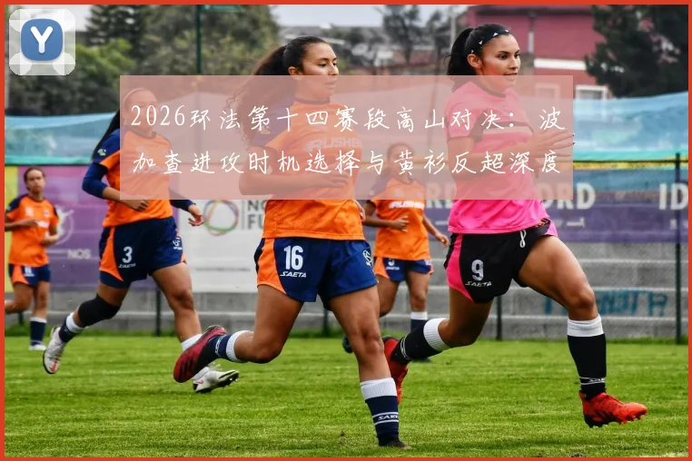 2026环法第十四赛段高山对决：波加查进攻时机选择与黄衫反超深度分析