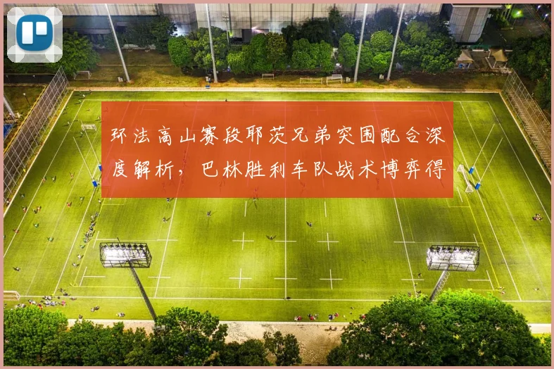 环法高山赛段耶茨兄弟突围配合深度解析,巴林胜利车队战术博弈得失