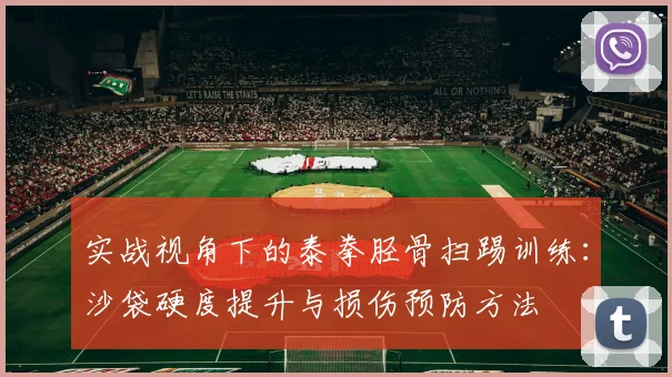 实战视角下的泰拳胫骨扫踢训练：沙袋硬度提升与损伤预防方法