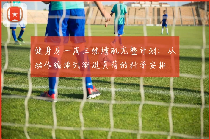 健身房一周三练增肌完整计划:从动作编排到渐进负荷的科学安排